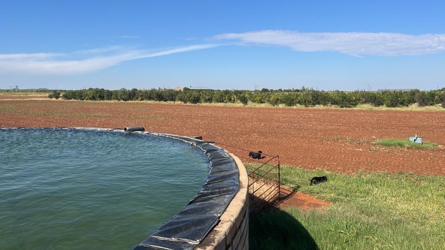 Commercial Property for Sale in Arcadia SH Free State